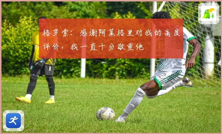 格罗索：感谢阿莱格里对我的高度评价，我一直十分敬重他