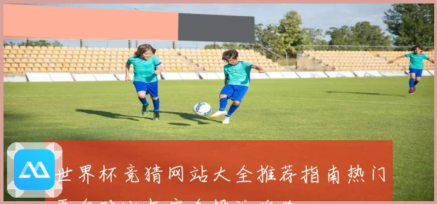 世界杯竞猜网站大全推荐指南热门平台对比与安全投注攻略