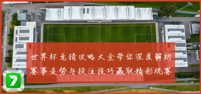 世界杯竞猜攻略大全带你深度解析赛事走势与投注技巧赢取精彩观赛体验