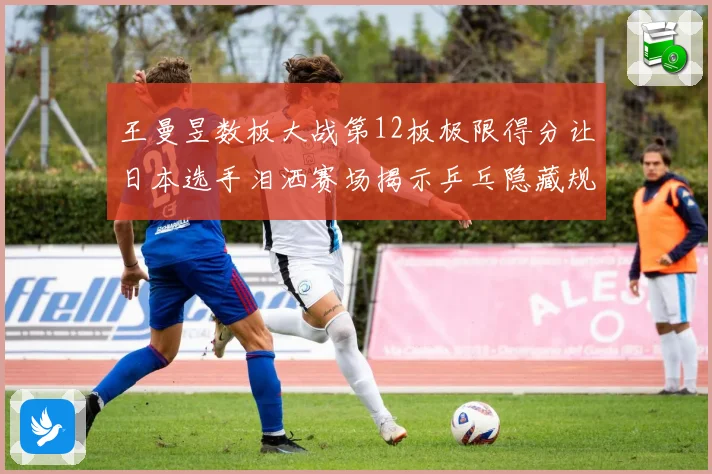王曼昱数板大战第12板极限得分让日本选手泪洒赛场揭示乒乓隐藏规则